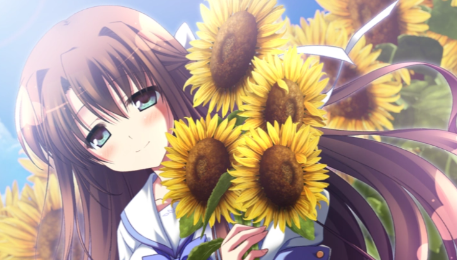 【安卓直装】夏空的英仙座