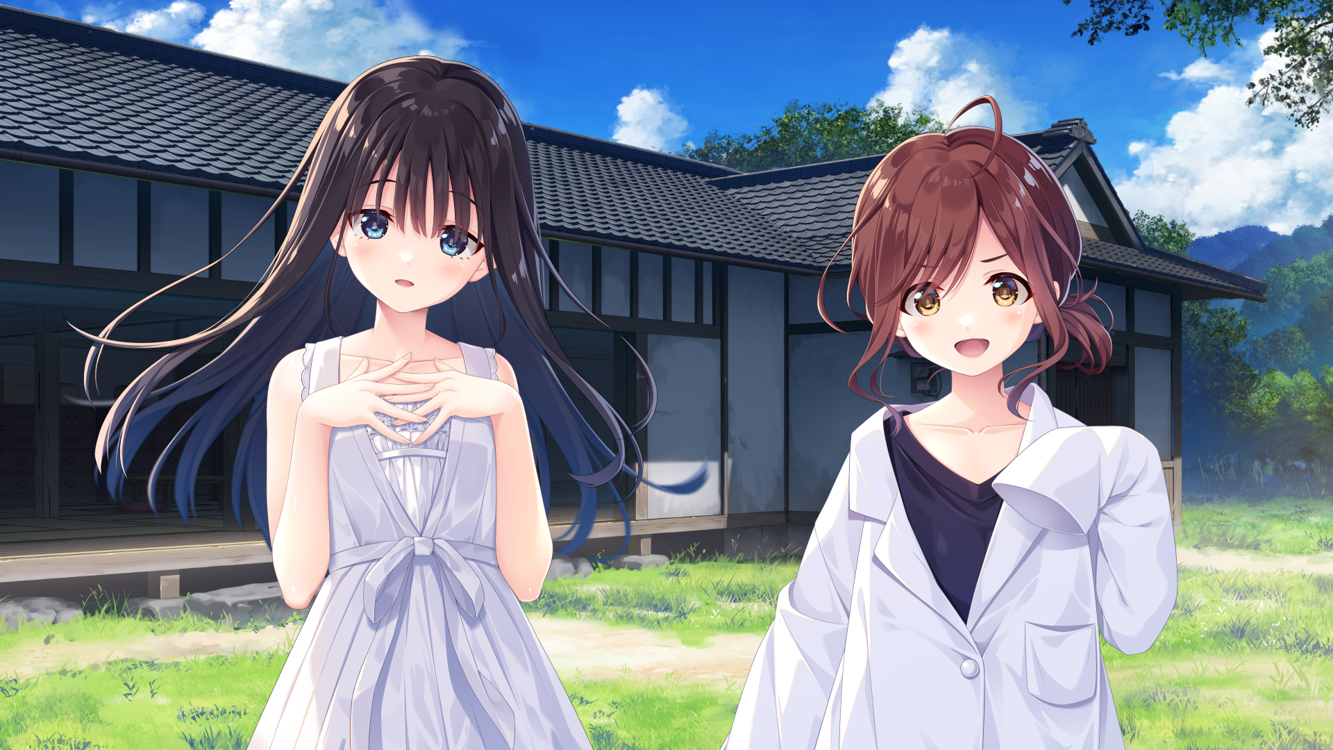 【pc/安卓krkr+ty/神作/4月1日最新作】田舍兄妹