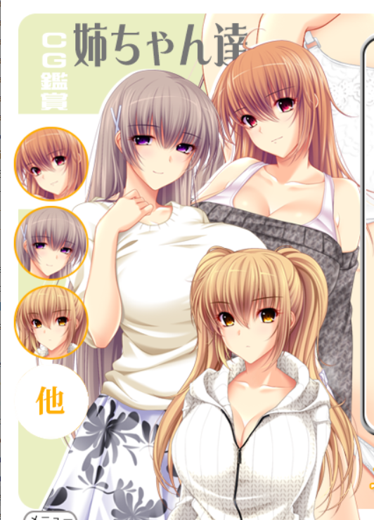 【pc 竹子社 拔作】このままだと弟がテクノブレイクで死んじゃうから子作り！ パッケージ版 (iso+mds+rr3)